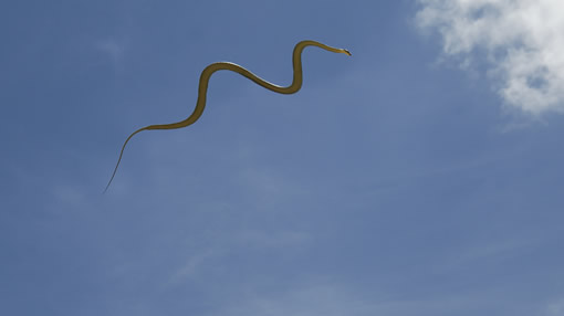 flying_snake