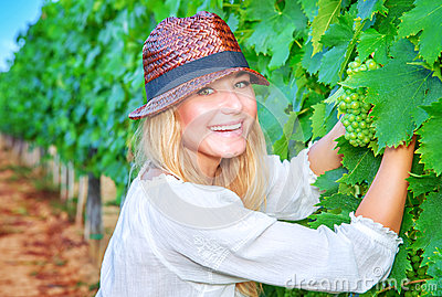 happy-girl-picking-grapes-grape-field-woman-gardener-sitting-ground-organic-healthy-food-enjoying-great-harvest-45183607